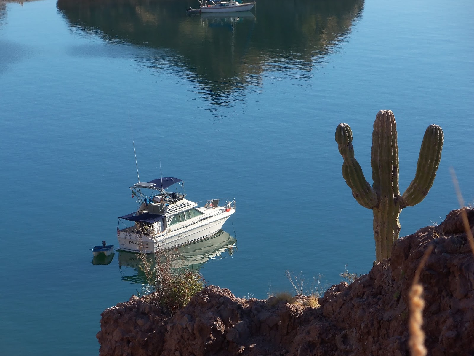 High Jinx in Sea of Cortez